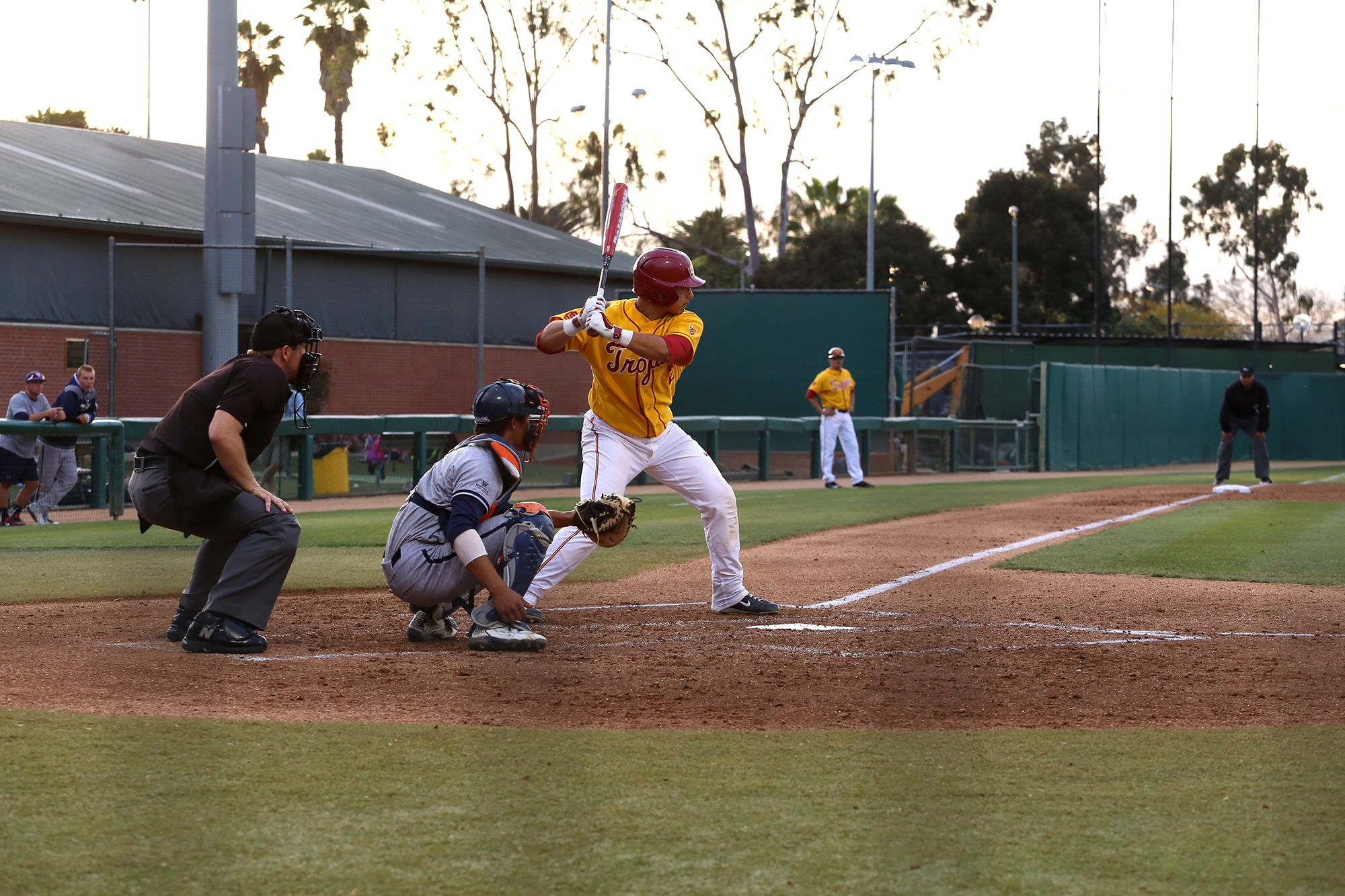 No. 8 Baseball Routs Pepperdine At Home | Daily Trojan