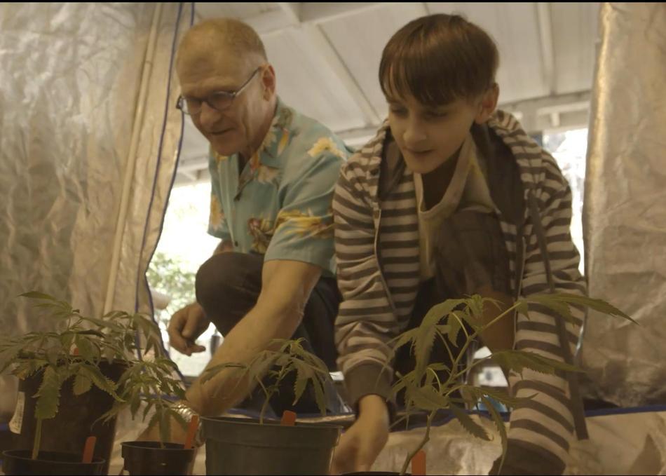 REVIEW: 'Weed the People' is a compelling call for drug reform - Daily  Trojan