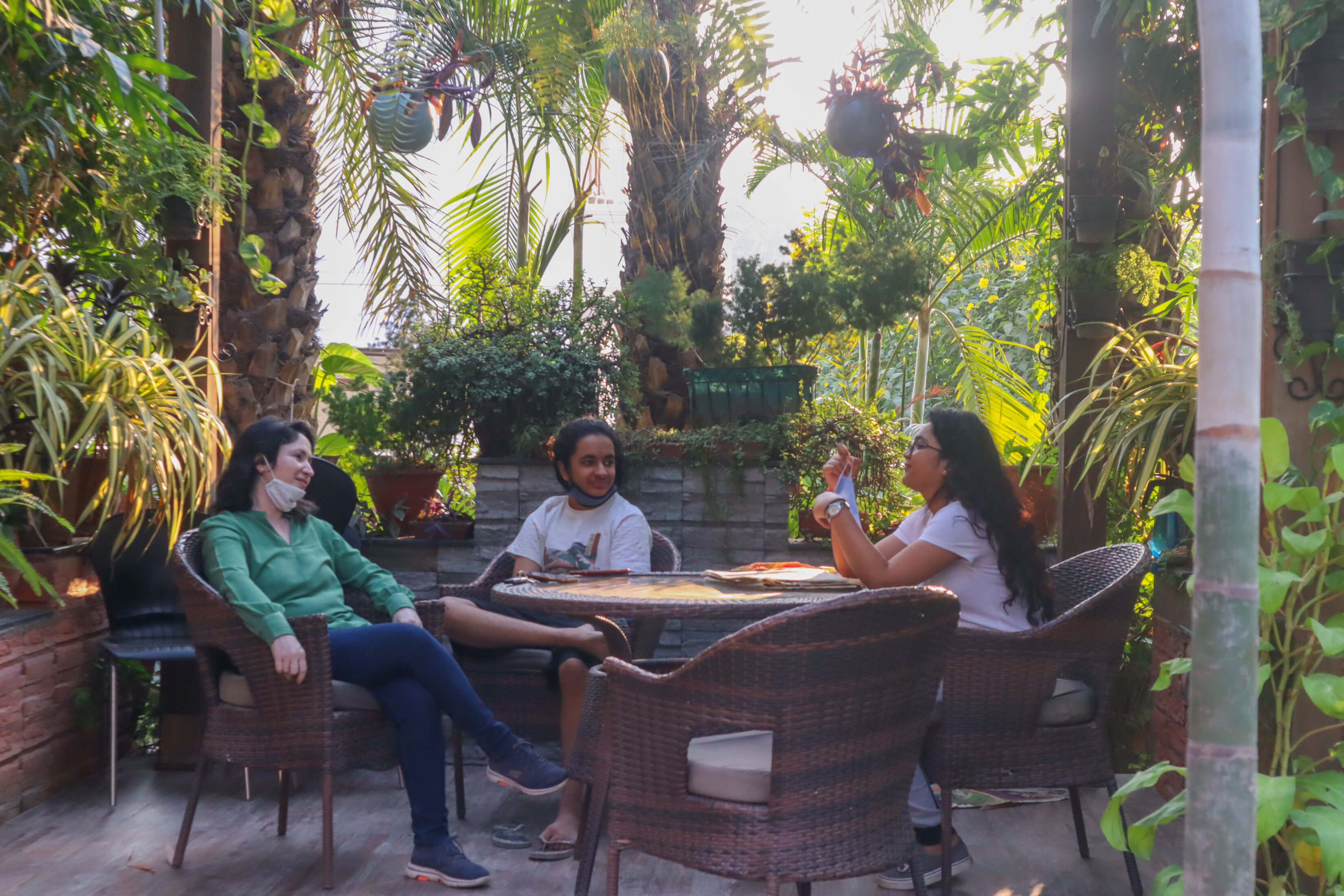 Three people at a round table surrounded by plants