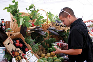 Eat fresh · Jarod Wunneburger, a senior majoring in sociology, inspects produce at USC Hospitality’s Trojan Fresh Market on Sept. 17. The Trojan Fresh Market is one of many options available on and around campus for students to buy organic food. - Dieuwertje Kast | Daily Trojan