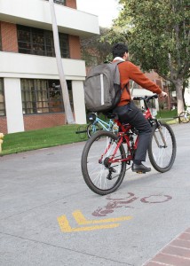 Wrong way · Prior to the bike lanes, a Dept. of Public Safety survey found nearly 25 percent of undergraduates were involved in accidents. — Austin Vogel | Daily Trojan