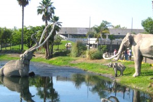 In the pits · The La Brea Tar Pits and Page Museum offer something a fun and entertaining afternoon for all ages with the world’s most extensive collection of fossils from the Ice Age, right in the heart of urban L.A.  - Photo courtesy Flickr 