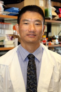 Science Guy · Shou-Jiang Gao and his colleagues were able to identify the microRNA molecules that cause normal cells to become cancerous.  Photo courtesy of Jon Nalick