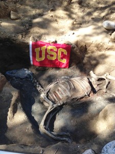 Neigh no more · The burial of prize racehorse Native Diver was excavated by a team of USC students at the Hollywood Park racetrack. - Photo courtesy of Thomas Garrison