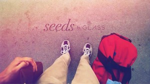 Alvida · Seeds allows the audience to walk a mile in the shoes of a young man who leaves his wife back in America to visit his home village in India. - Photo courtesy of Aneesh Chaganty and Sev Ohanian 