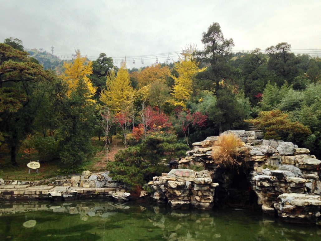 Taken at "Fragrant Hills", a beautiful place to hike in the Fall. Fragrant Hills is known for its bright red and yellow leaves painted across the hills during Fall. Esther Chang | Daily Trojan 