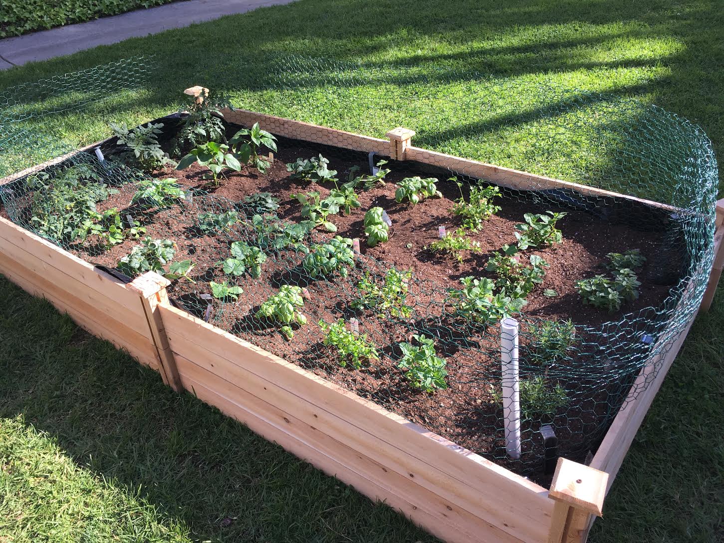 Cardinal Gardens residents create community garden | Daily Trojan