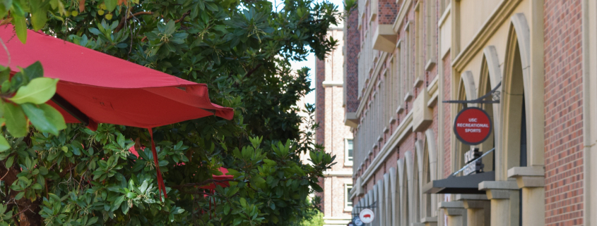 Backs of two people walking in the USC village with red brick building to their left and plants and trees to the right.