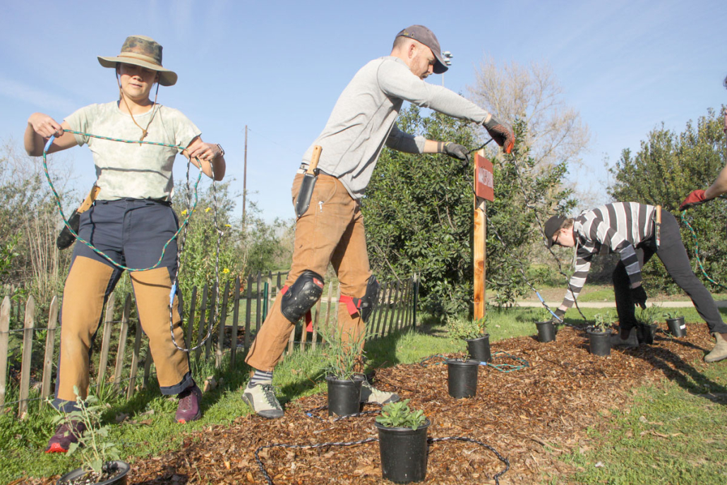 A woman wearing a sunhat holds a rope. A man wearing gloves and gardening gear works in the garden. 