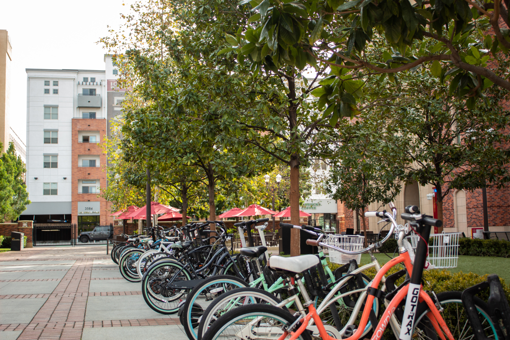 A bikerack on campus