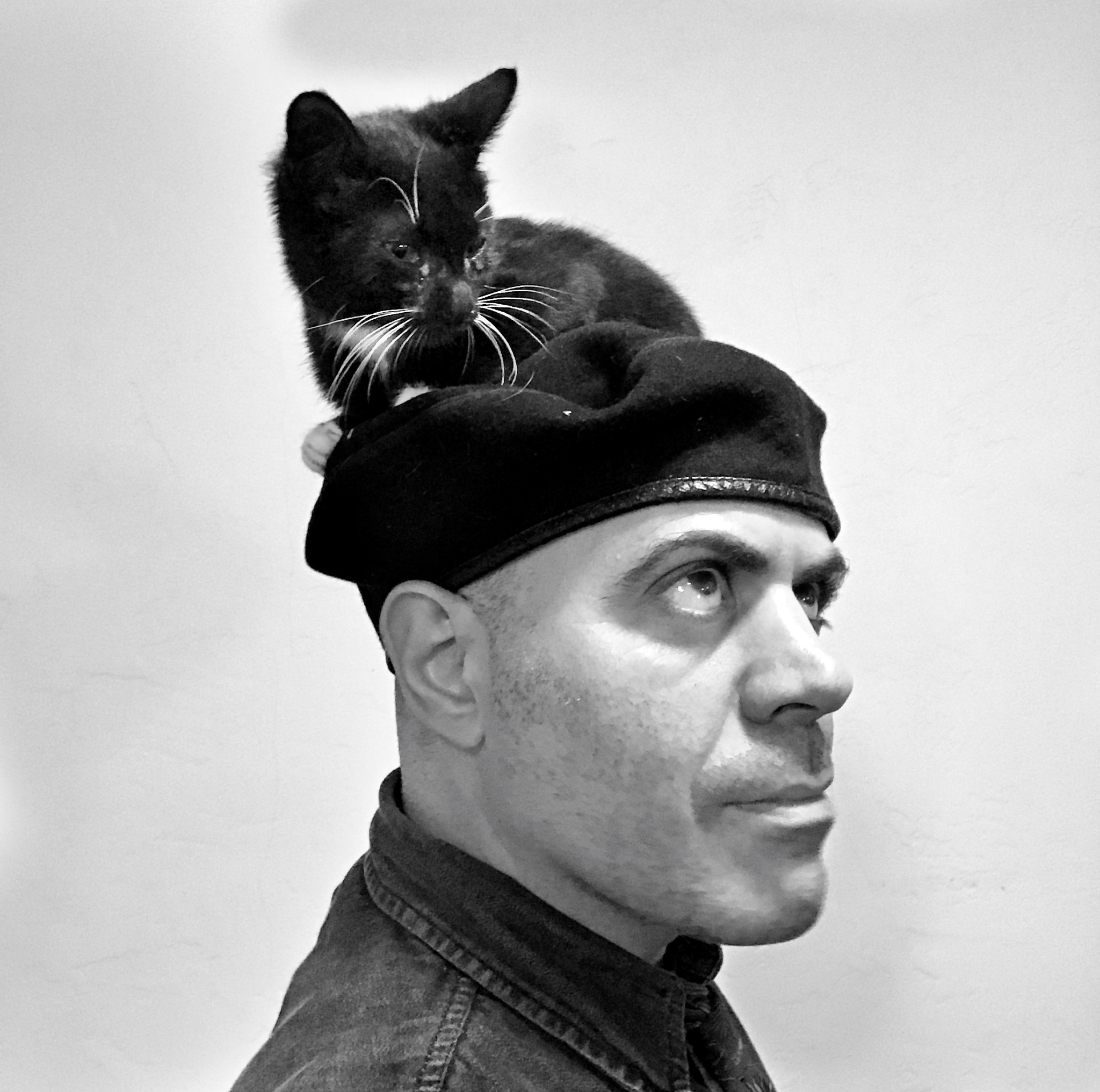 staff-opens-cat-rescue-group-at-usc-daily-trojan