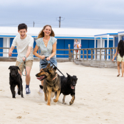 A couple walking their pets without any hard feelings.