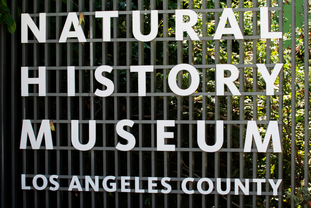 natural history museum sign