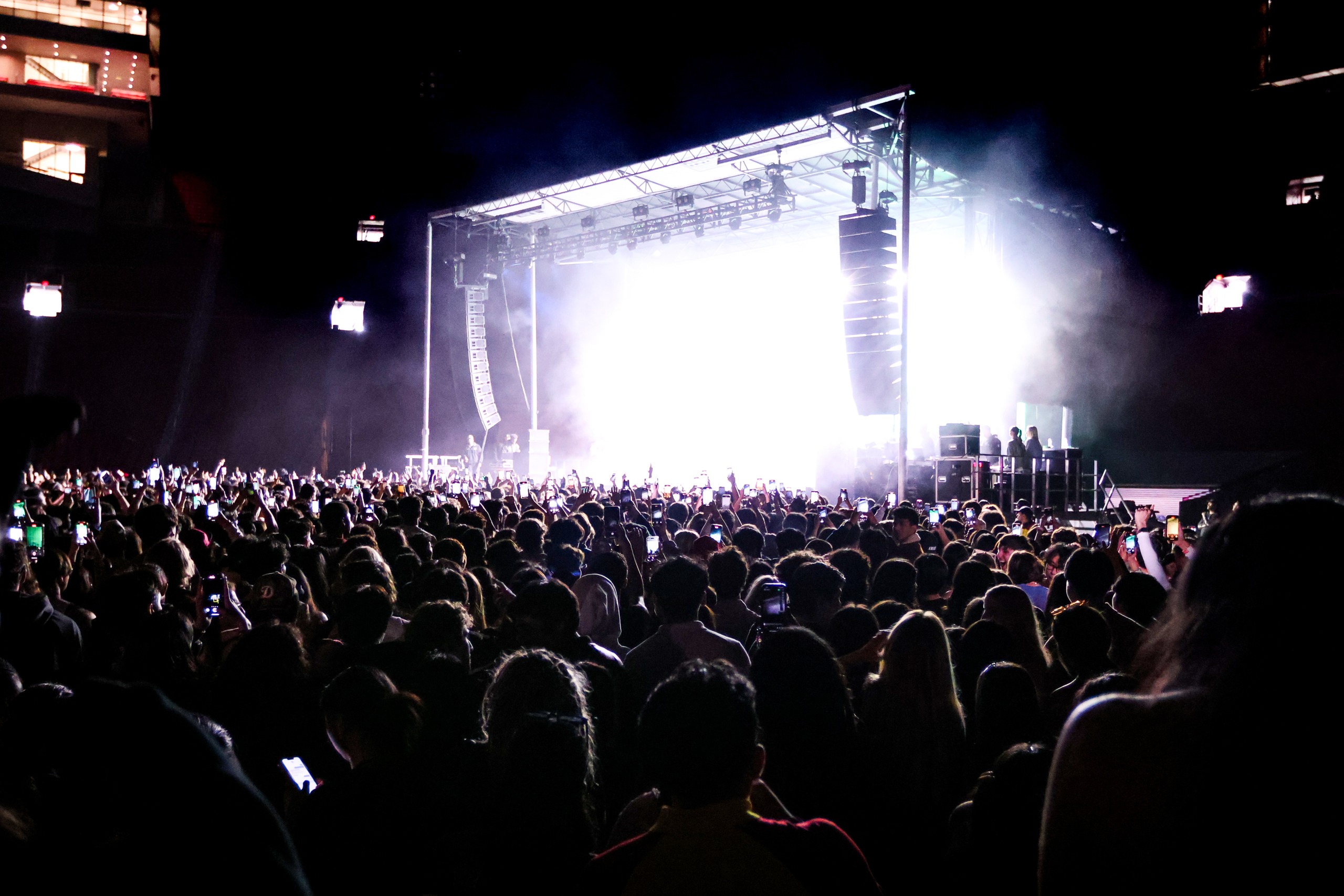 The audience at Springfest
