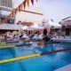 Swimmers dive off the blocks at a men's swim and dive meet