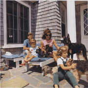 color photo of the Kennedy family playing with their dogs