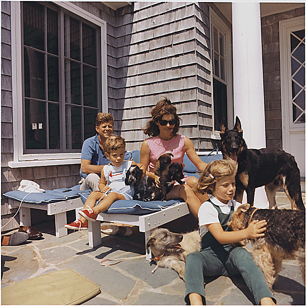 color photo of the Kennedy family playing with their dogs