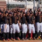 USC baseball celebrates after a win