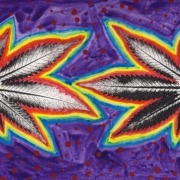 Two cannabis leaves with a rainbow around them