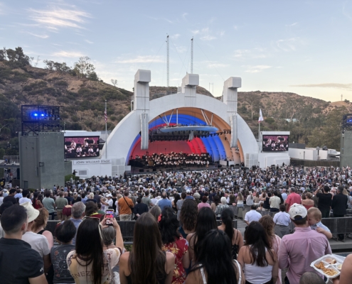 The audience filled the Hollywood Bowl for the benefit concert.