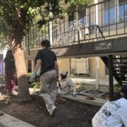 students volunteer at new Peace Garden